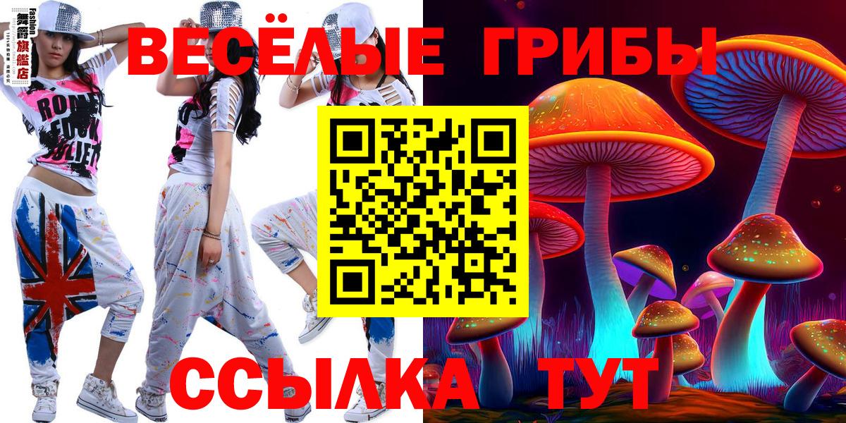 закладки  Вход с VPN  Новошахтинск  Псилоцибиновые грибы Magic Shrooms 