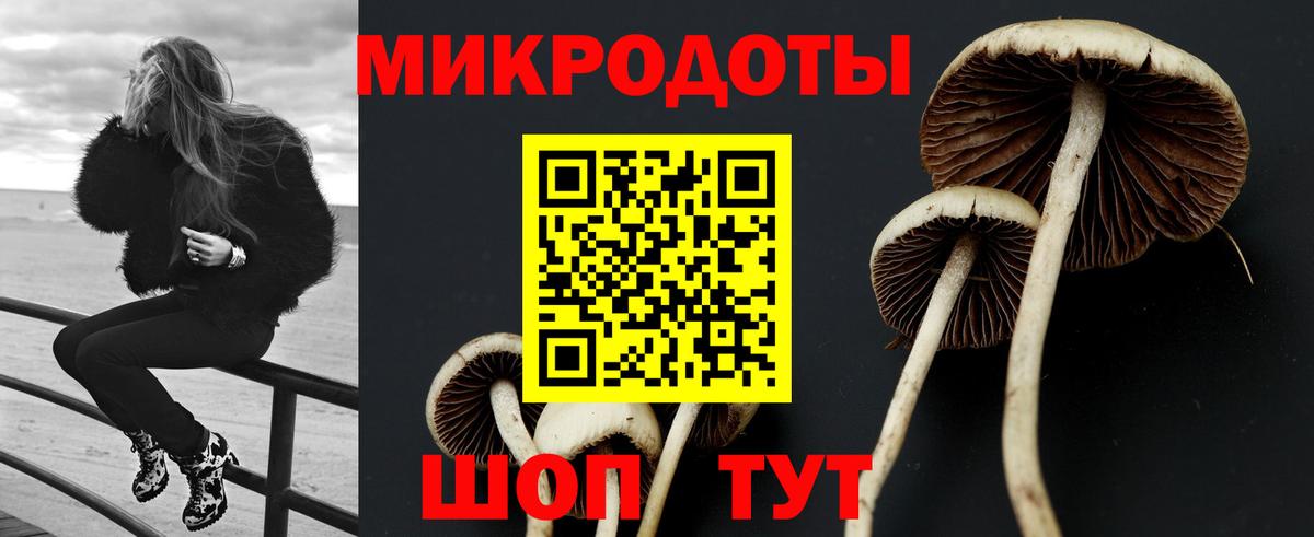 Галлюциногенные грибы мухоморы Новошахтинск